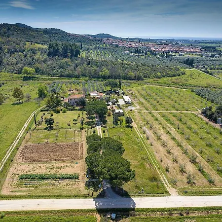 Al Posto Giusto ピオンビーノ